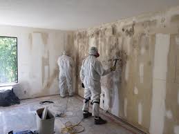 Asbestos and Lead Testing During Mold Inspection in Sunnyside, CA